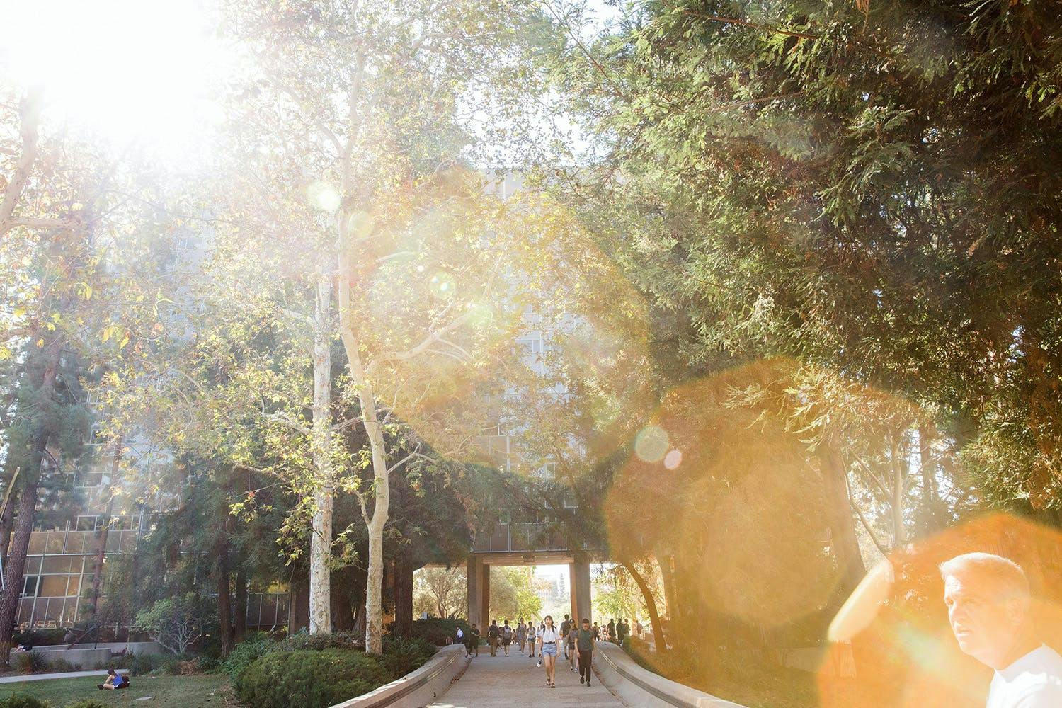 UCLA campus walkway